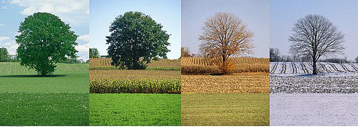 《特警指挥官》Steam抢先体验 挑战反恐第一线